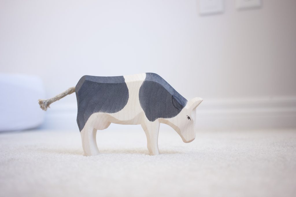 Ostheimer Cow eating 